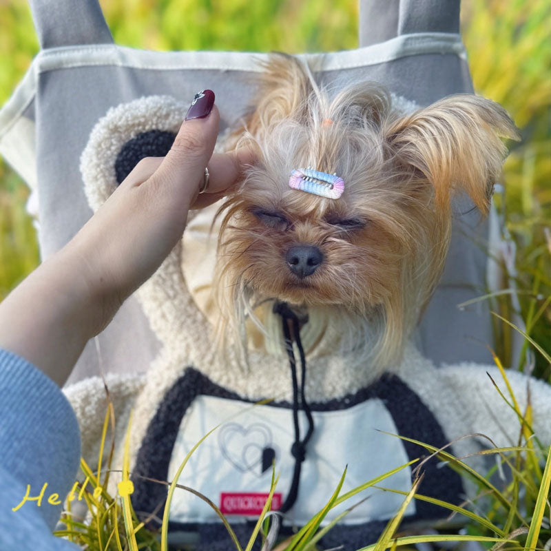 🔥Cute berry bag for pets with head exit