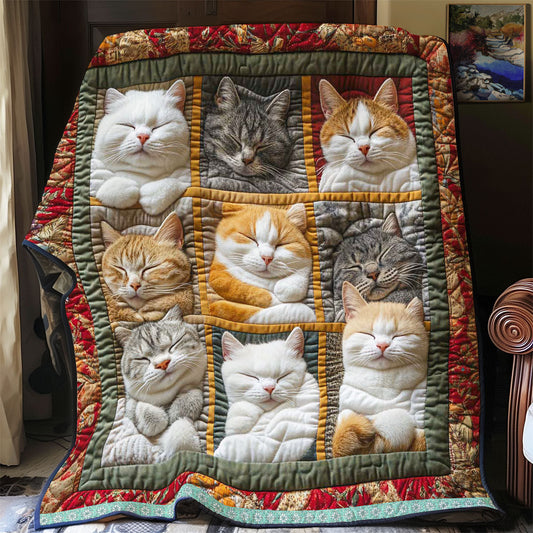 Sleeping Royal Cat blanket